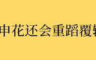 中超8輪后，申花成績穩(wěn)定20分，今年與去年對比，結(jié)果會(huì)否重演？