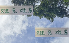 難兄難弟，京安韓佳奇與滬港王振澳同赴德康復(fù)
