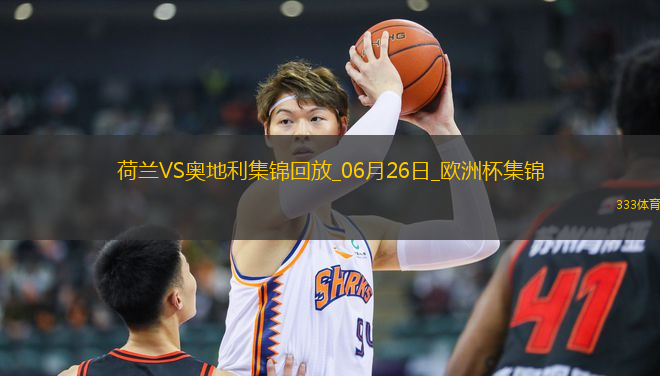 06月26日歐洲杯小組賽D組第3輪荷蘭vs奧地利進球視頻