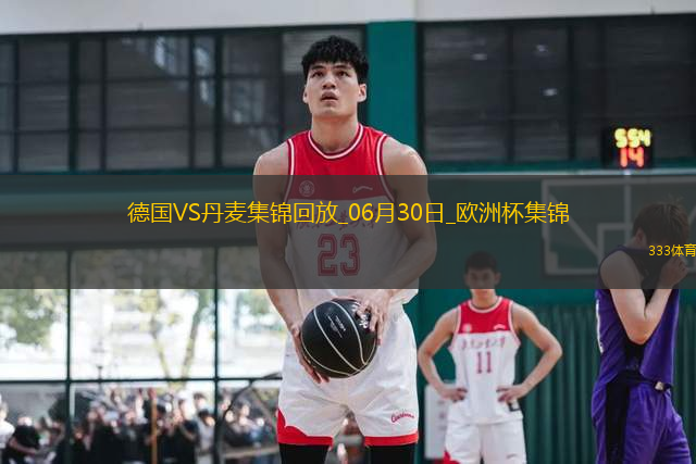 06月30日歐洲杯1/8決賽德國vs丹麥精彩片段