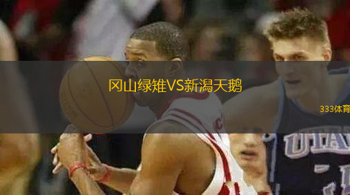 岡山綠雉VS新潟天鵝