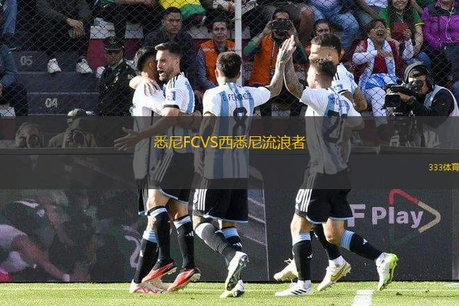 悉尼FCVS西悉尼流浪者