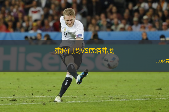 弗拉門戈VS博塔弗戈