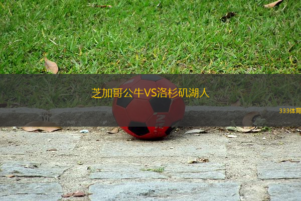 芝加哥公牛VS洛杉磯湖人
