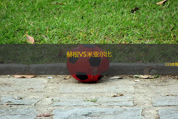 赫根VS米亞爾比