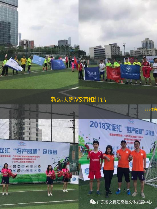 新潟天鵝VS浦和紅鉆